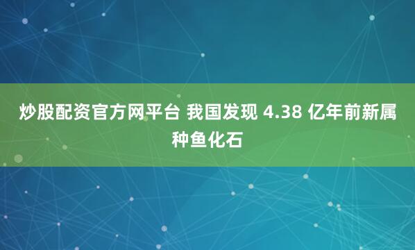 炒股配资官方网平台 我国发现 4.38 亿年前新属种鱼化石